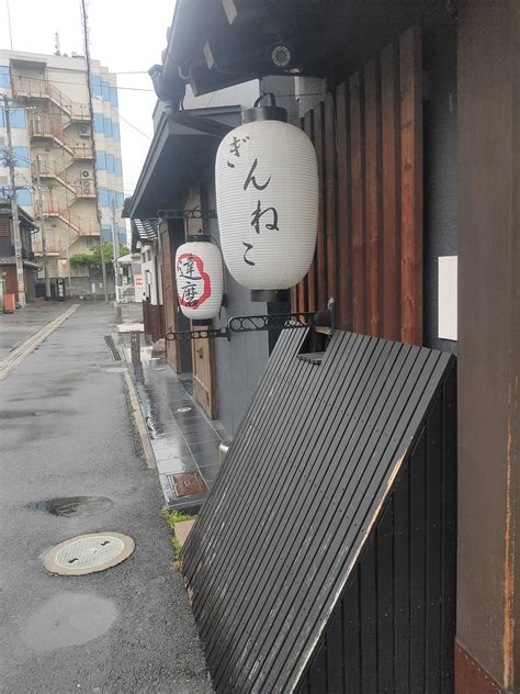 大阪 信太山新地 / ぎんねこ / ふわり（ちょんの間）